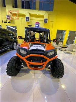 Polaris RZR